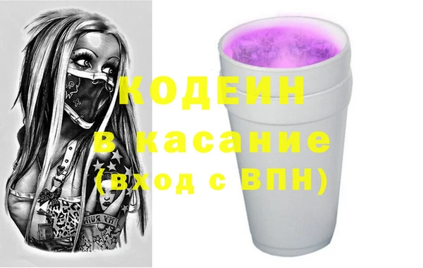стаф Бородино