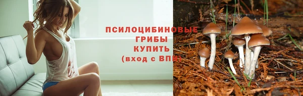 стаф Бородино