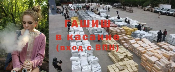 стаф Бородино