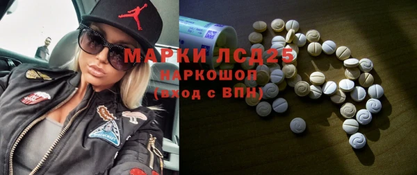стаф Бородино