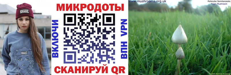 Галлюциногенные грибы мухоморы  купить   Гороховец 